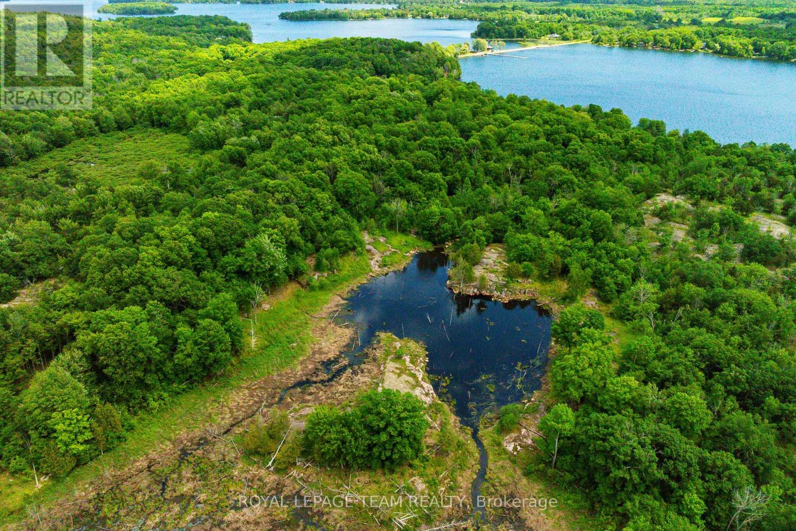 Tbd Scott Lane, Rideau Lakes, Ontario  K0G 1V0 - Photo 9 - X13468566
