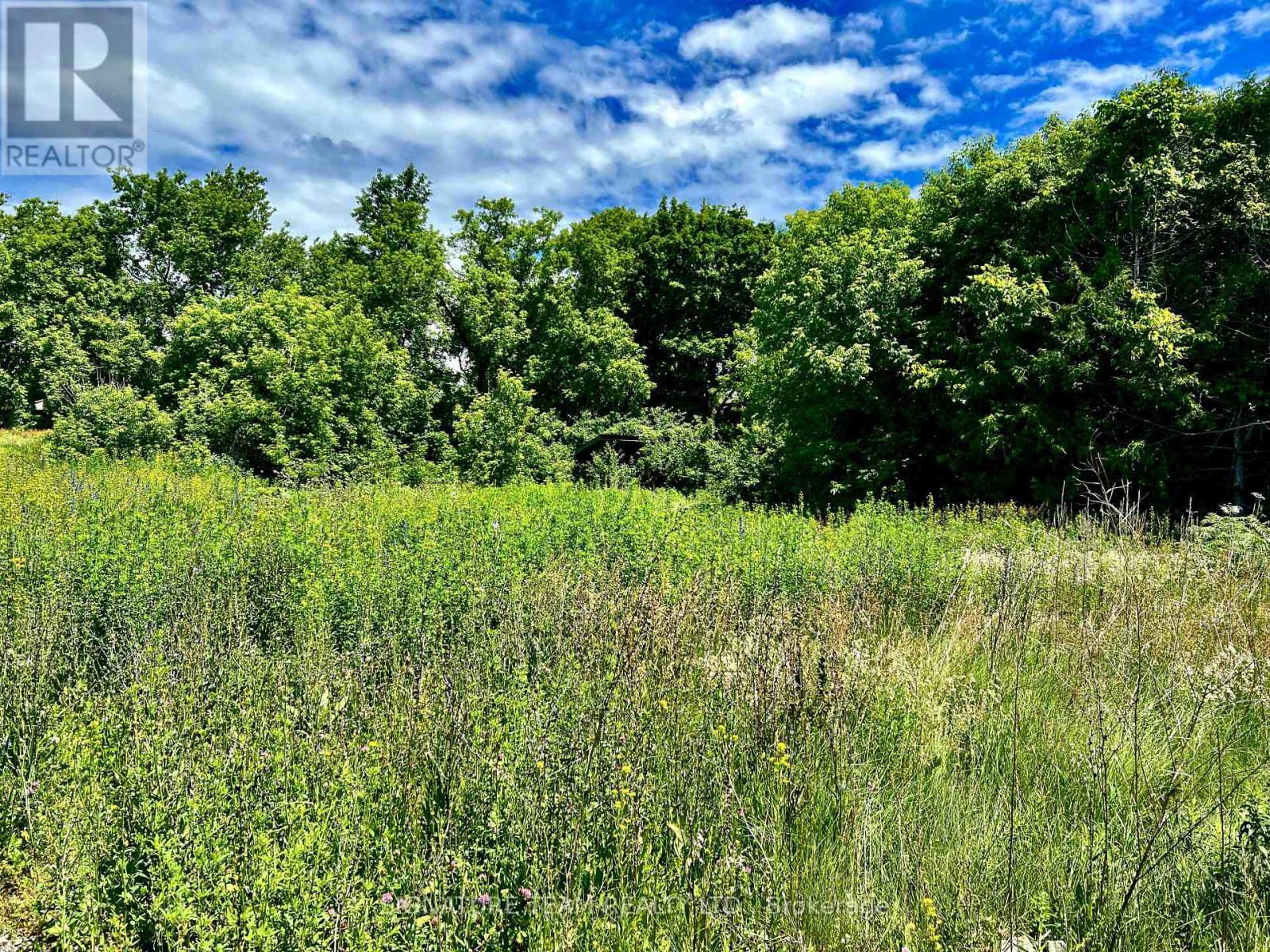 203 John Street, Bonnechere Valley, Ontario K0J 1T0 - Photo 12 - X13473598