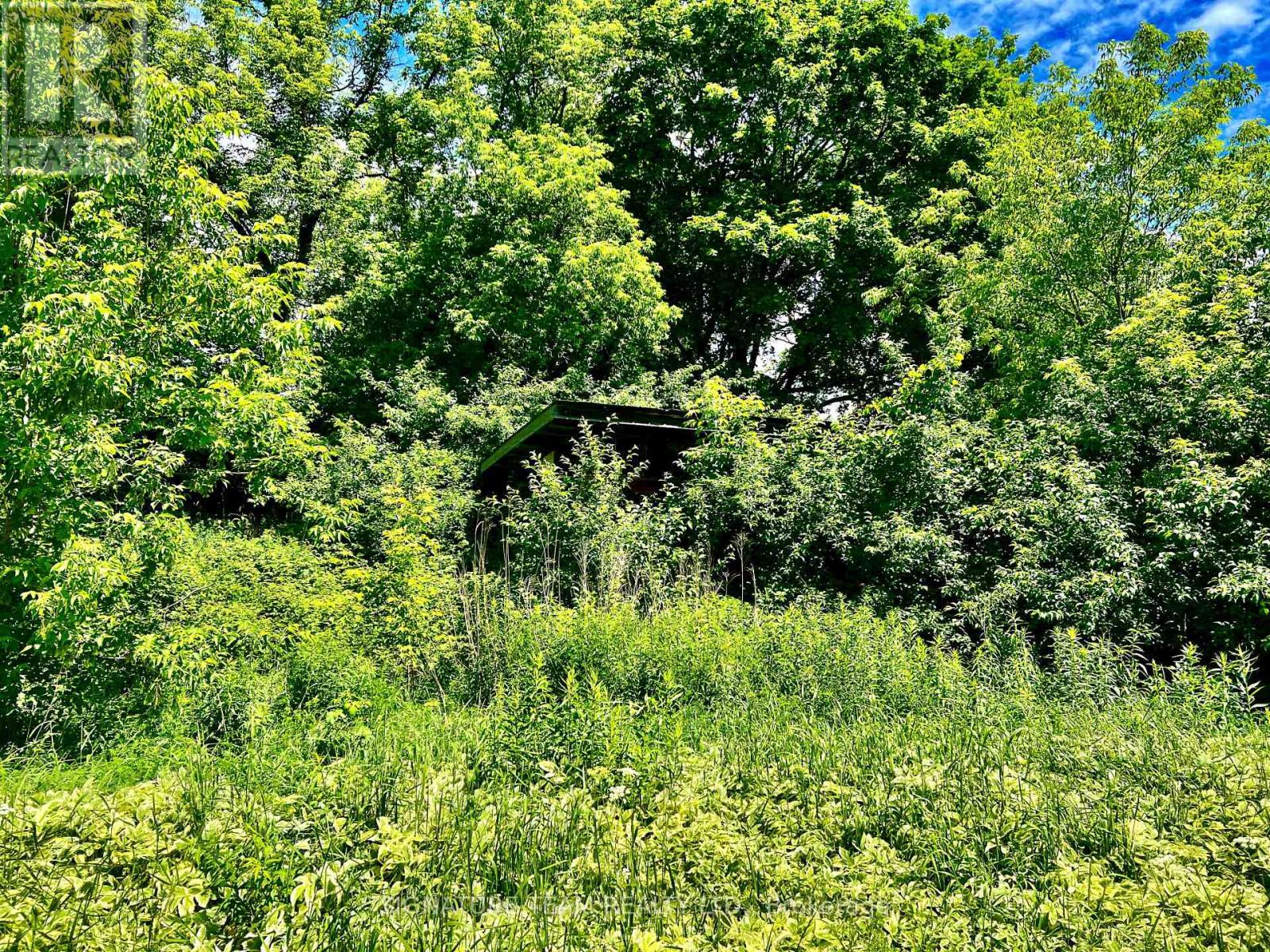 203 John Street, Bonnechere Valley, Ontario K0J 1T0 - Photo 14 - X13473598