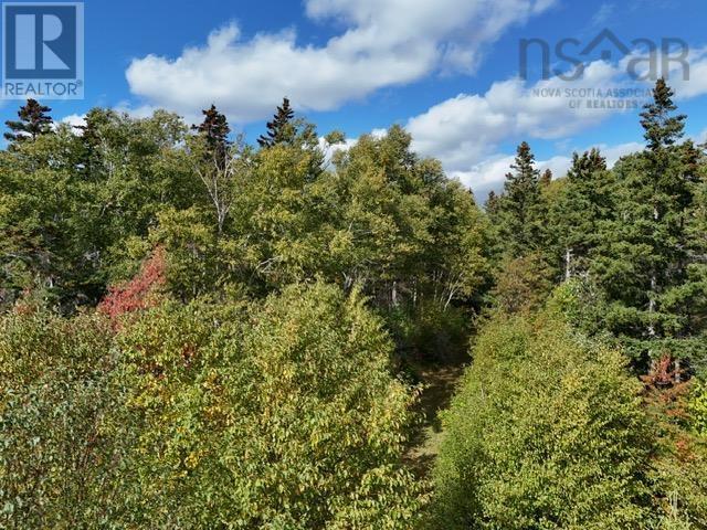 45109 Cabot Trail, North Shore, Nova Scotia  B0E 1B0 - Photo 10 - 202615193