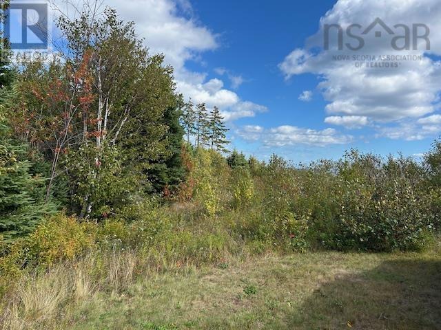 45109 Cabot Trail, North Shore, Nova Scotia  B0E 1B0 - Photo 11 - 202615193