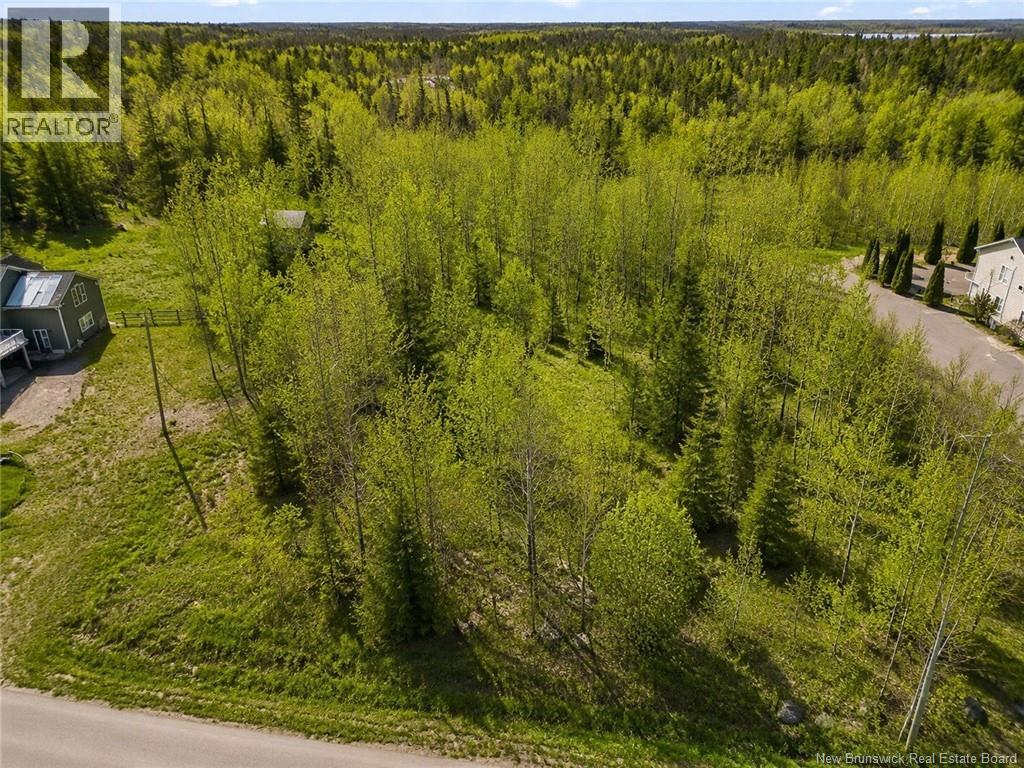 Lot Birch Crescent, Grand-Barachois, New Brunswick  E4P 7X3 - Photo 5 - NB133599