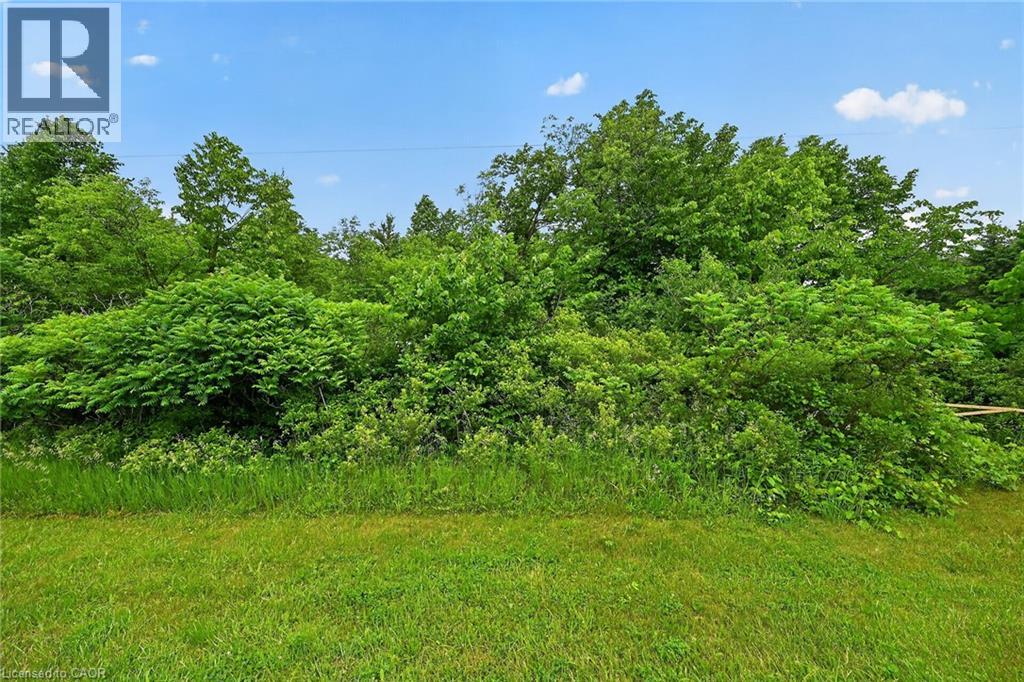 581 Townline Road W, Cayuga, Ontario N0A 1E0 - Photo 21 - 40839374