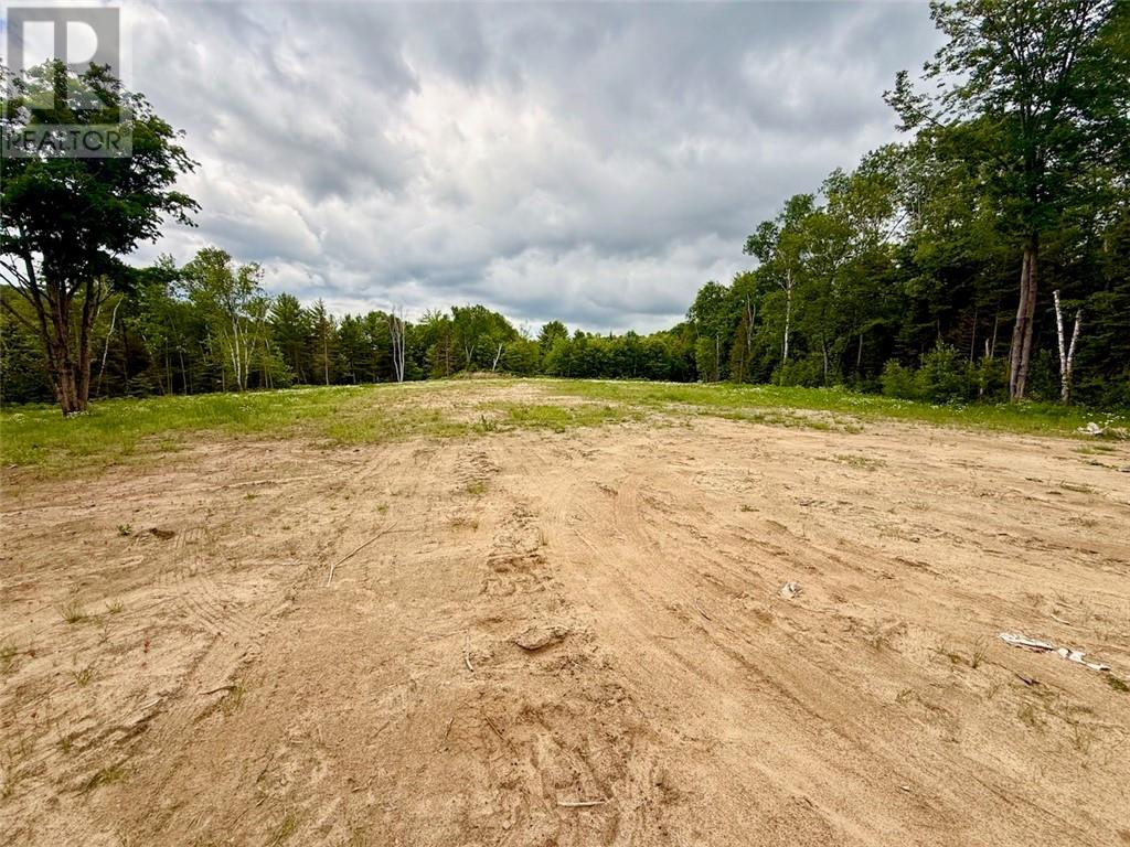 460 Old Webbwood Road, Espanola, Ontario  P5E 1P1 - Photo 21 - 2128261