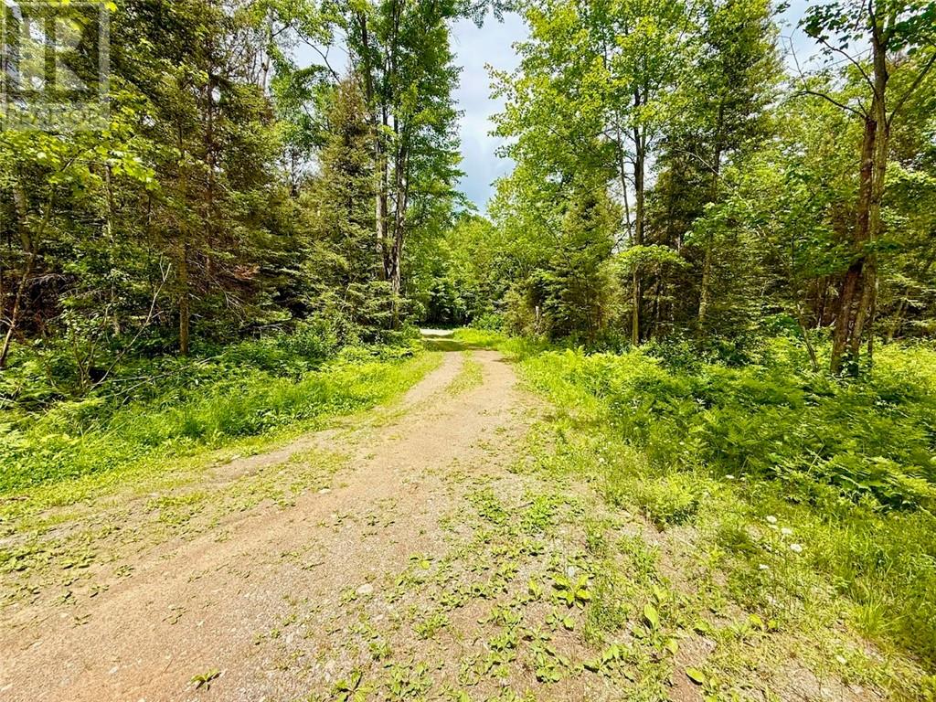 460 Old Webbwood Road, Espanola, Ontario  P5E 1P1 - Photo 23 - 2128261