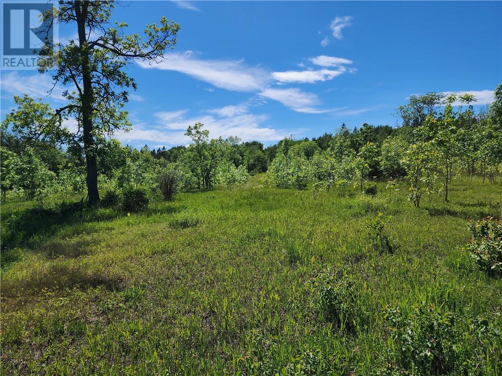 N/a Perch Lake Rd., Nemi, Ontario  P0P 1K0 - Photo 26 - 2128607