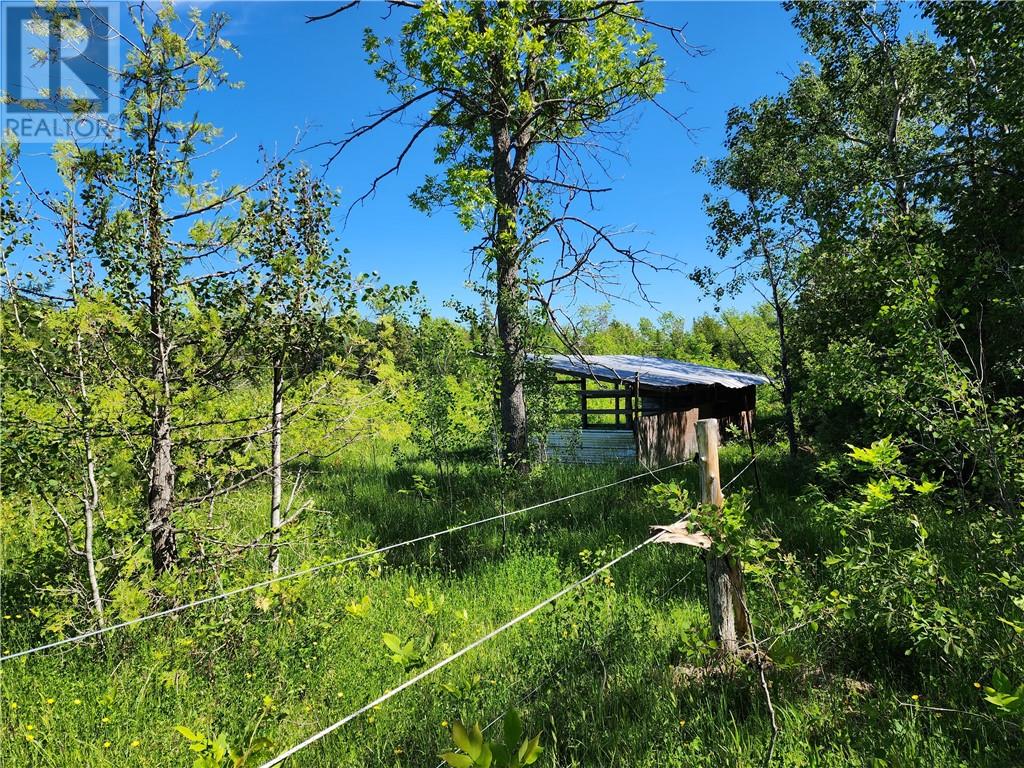 N/a Perch Lake Rd., Nemi, Ontario  P0P 1K0 - Photo 28 - 2128607