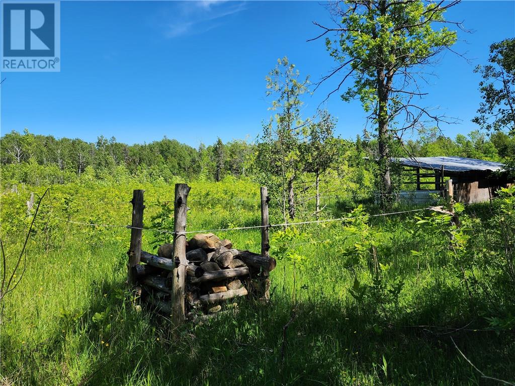 N/a Perch Lake Rd., Nemi, Ontario  P0P 1K0 - Photo 29 - 2128607