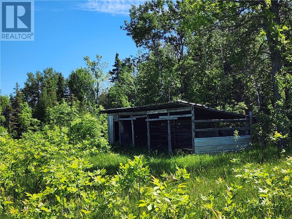 N/a Perch Lake Rd., Nemi, Ontario  P0P 1K0 - Photo 30 - 2128607