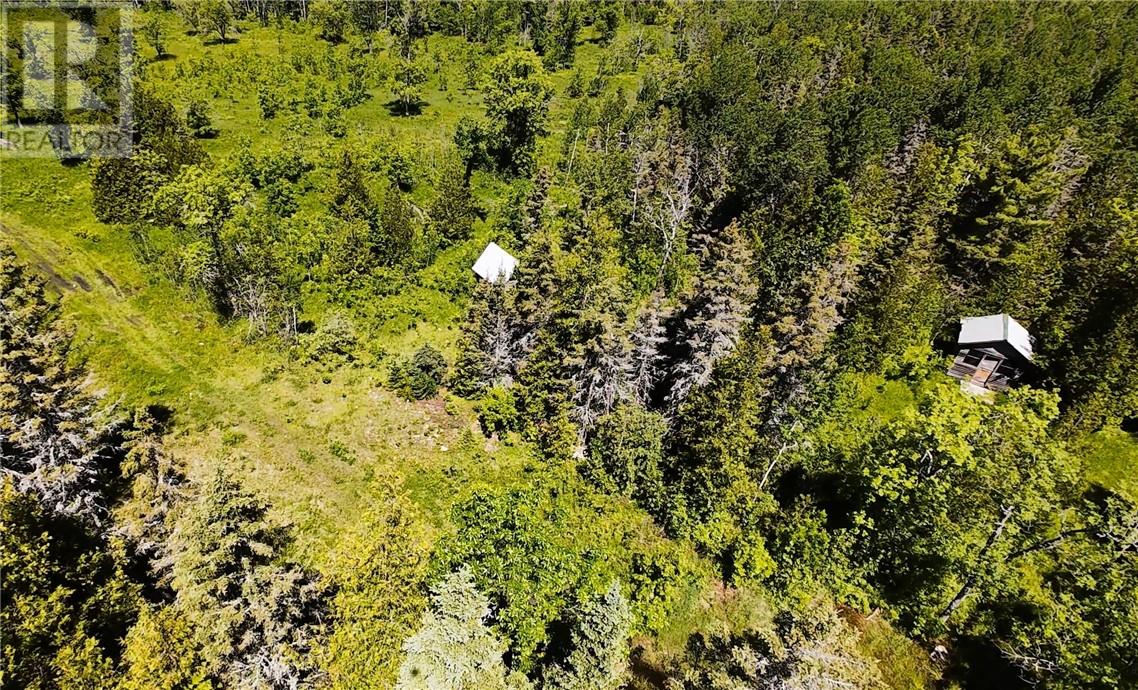 N/a Perch Lake Rd., Nemi, Ontario  P0P 1K0 - Photo 38 - 2128607