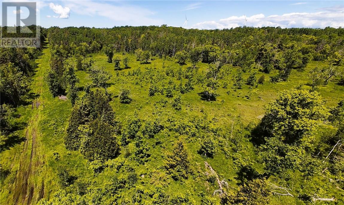 N/a Perch Lake Rd., Nemi, Ontario  P0P 1K0 - Photo 39 - 2128607