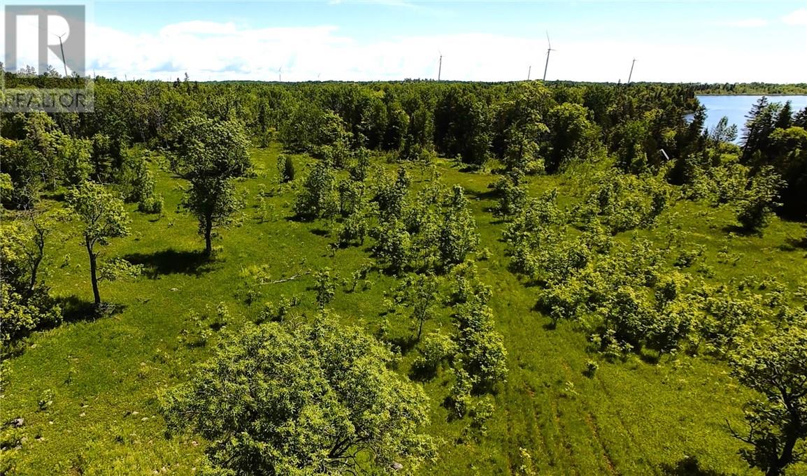 N/a Perch Lake Rd., Nemi, Ontario  P0P 1K0 - Photo 41 - 2128607