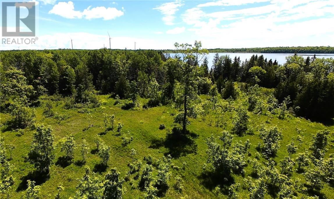 N/a Perch Lake Rd., Nemi, Ontario  P0P 1K0 - Photo 42 - 2128607