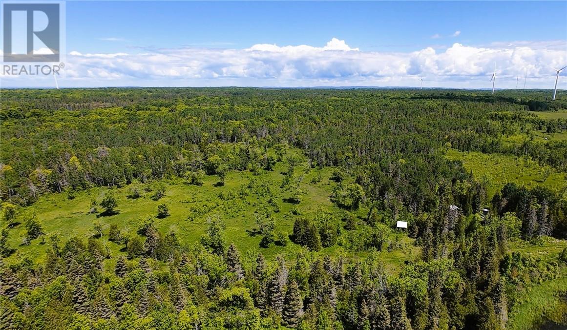 N/a Perch Lake Rd., Nemi, Ontario  P0P 1K0 - Photo 49 - 2128607