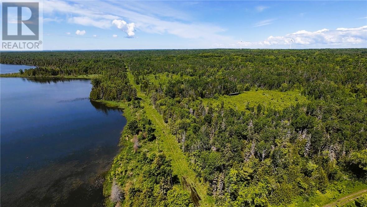 N/a Perch Lake Rd., Nemi, Ontario  P0P 1K0 - Photo 51 - 2128607