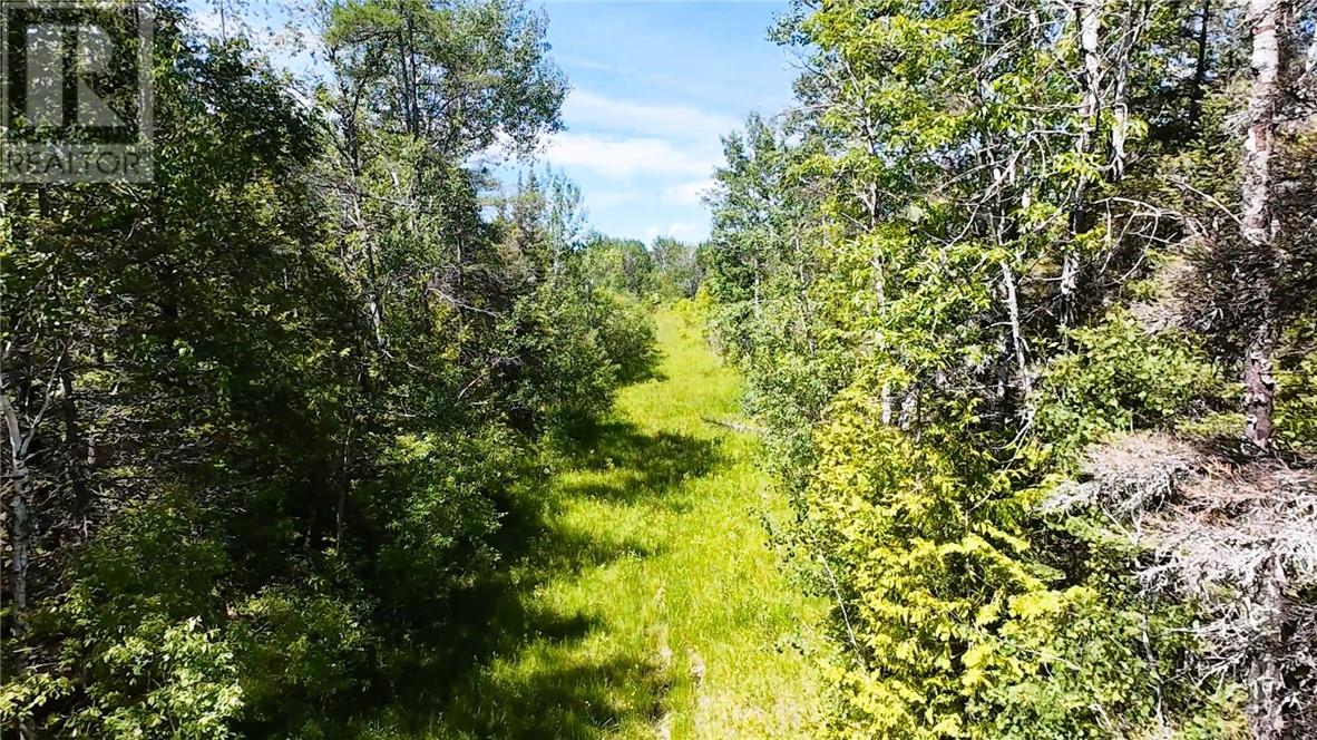 N/a Perch Lake Rd., Nemi, Ontario  P0P 1K0 - Photo 53 - 2128607