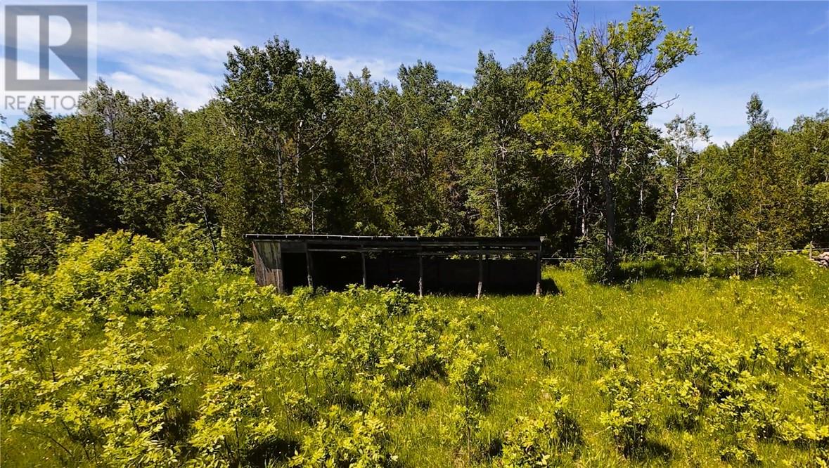N/a Perch Lake Rd., Nemi, Ontario  P0P 1K0 - Photo 54 - 2128607