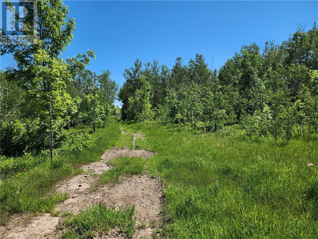 N/a Perch Lake Rd., Nemi, Ontario  P0P 1K0 - Photo 6 - 2128607