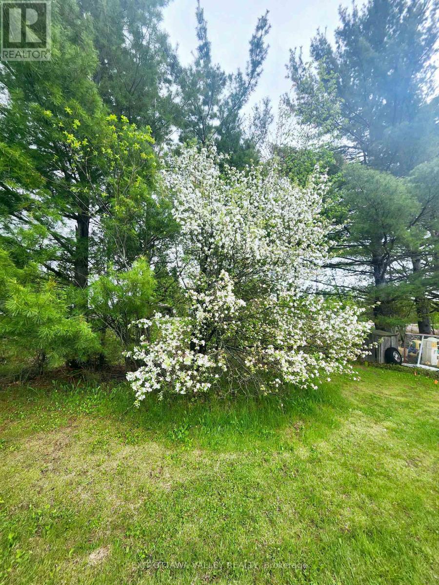 2943 B Line Road, Laurentian Valley, Ontario  K8A 6W6 - Photo 44 - X13172522