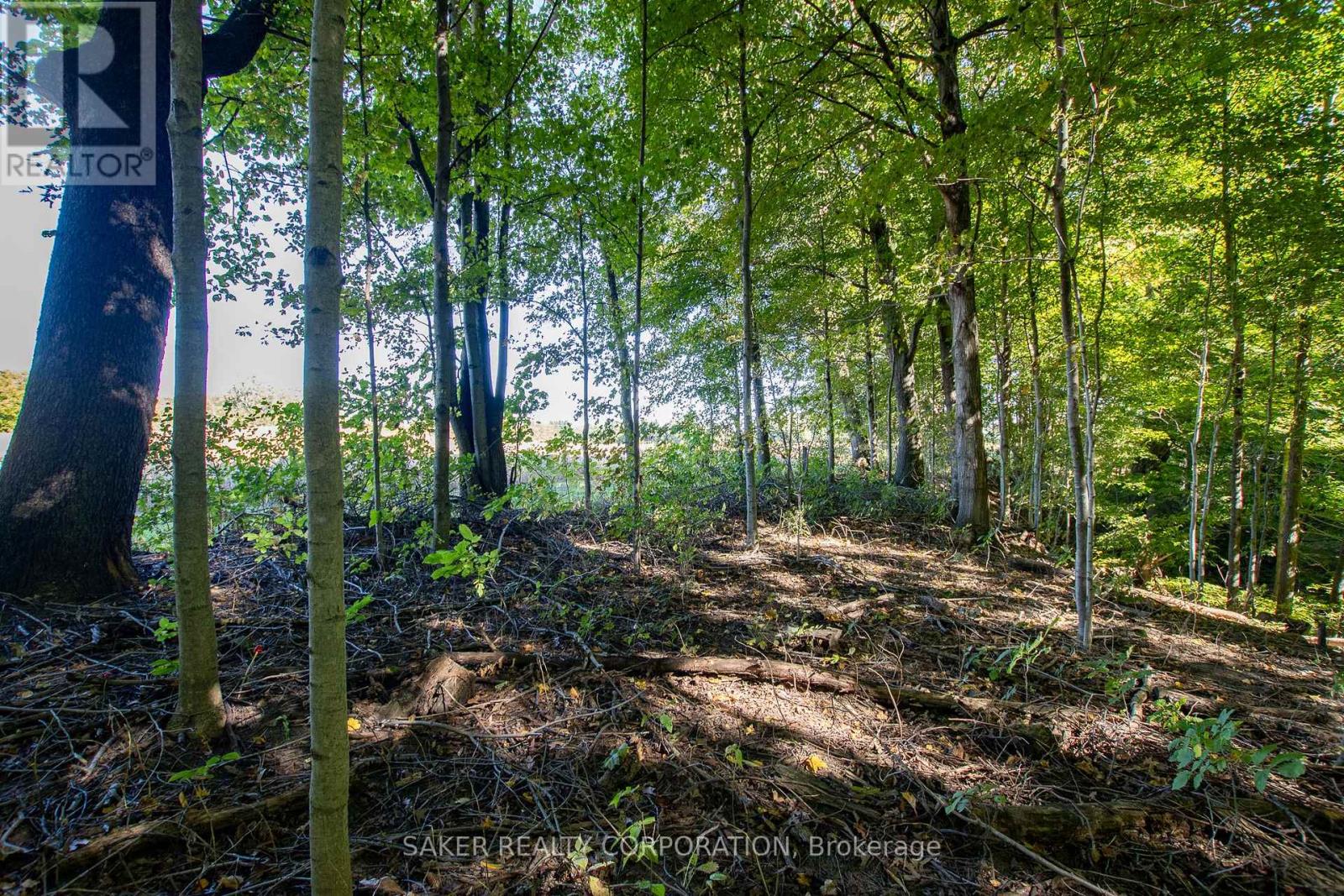22560 Troops Road, Strathroy-Caradoc, Ontario  N0L 1W0 - Photo 9 - X12687814