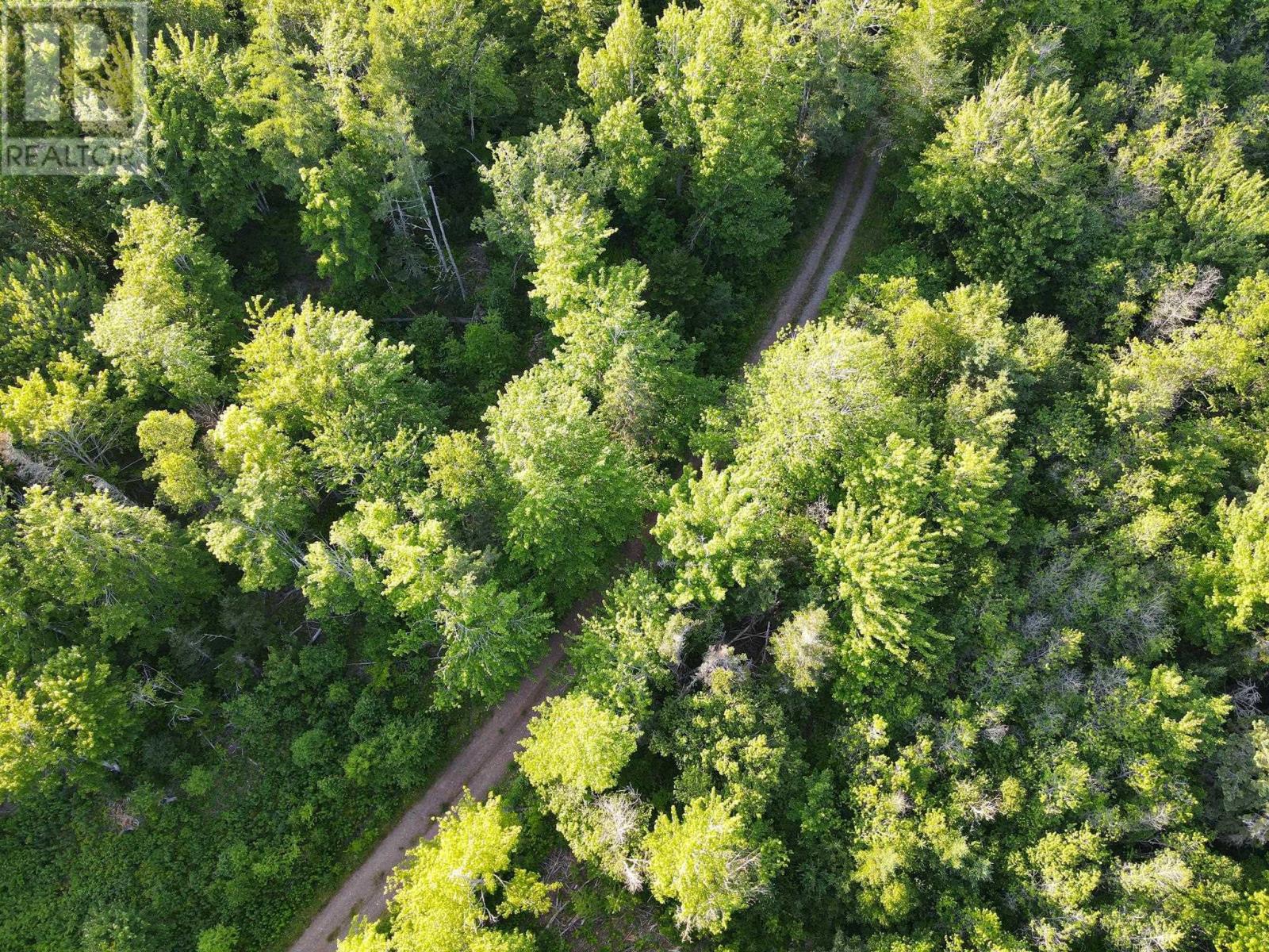 Lot 4 West Side Ainslie Glen Road, West Lake Ainslie, Nova Scotia  B0E 3M0 - Photo 8 - 202525190