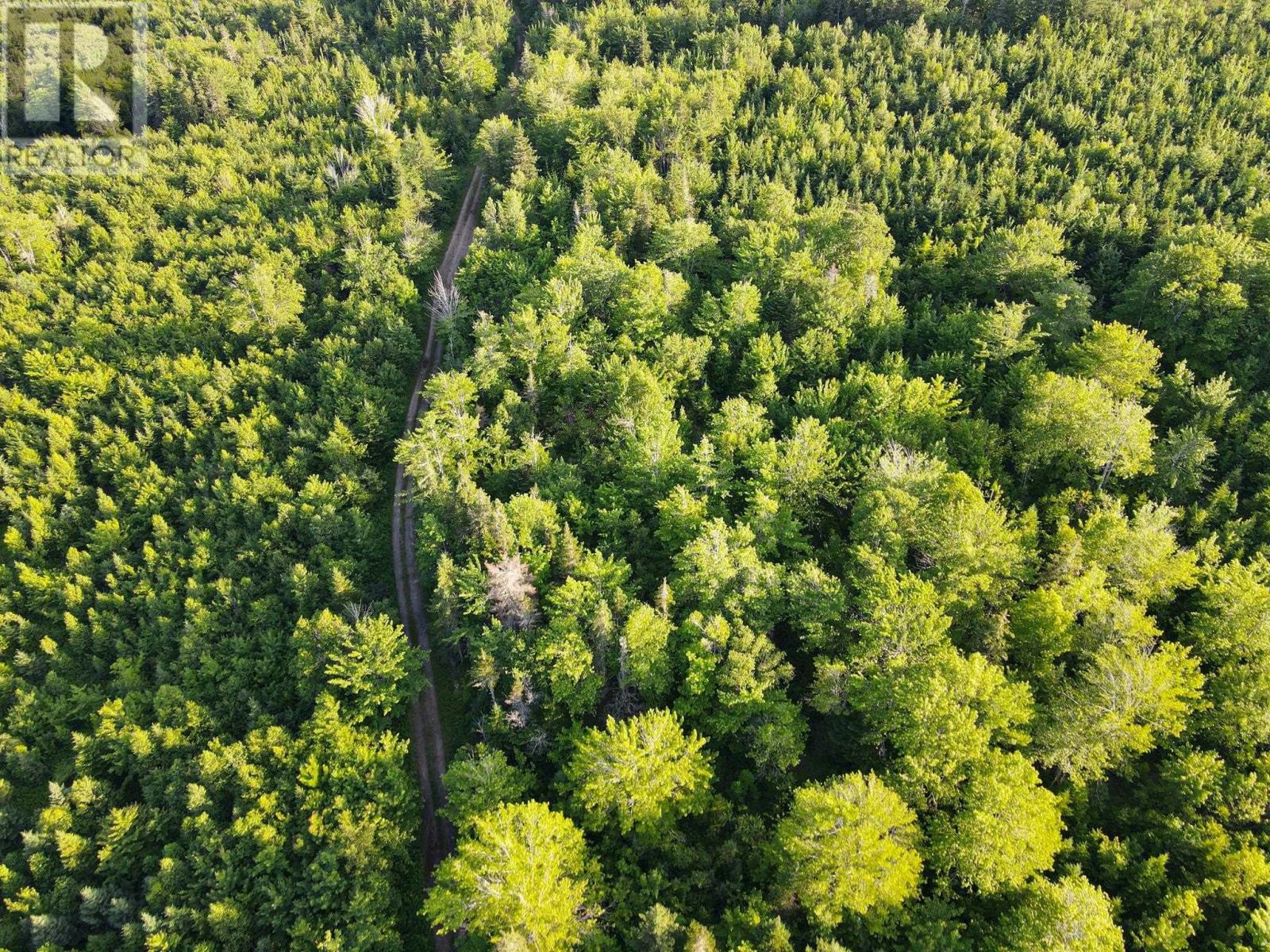 Lot 4 West Side Ainslie Glen Road, West Lake Ainslie, Nova Scotia  B0E 3M0 - Photo 5 - 202525190