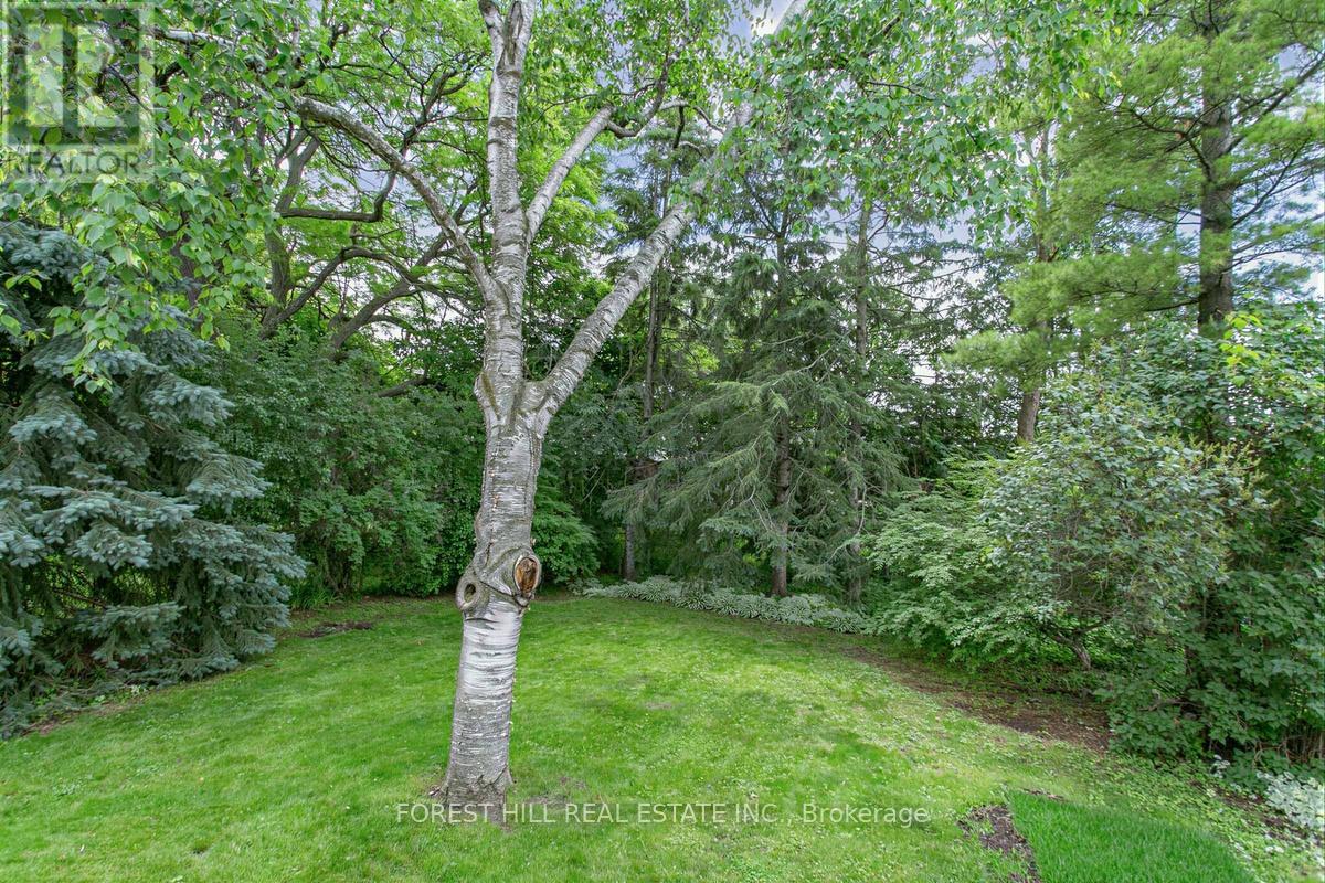 46 Viamede Crescent, Toronto, Ontario  M2K 2A8 - Photo 46 - C13473212
