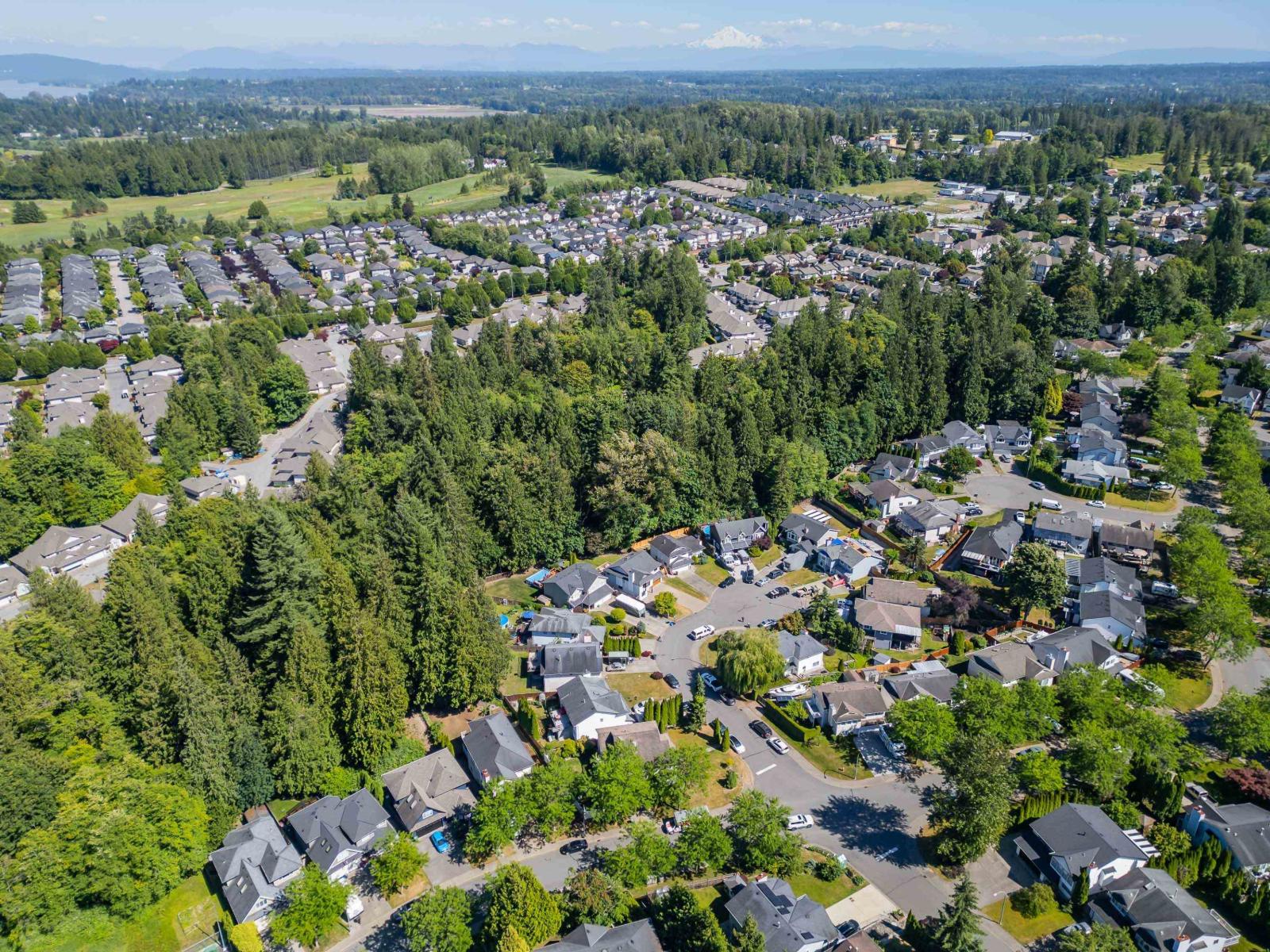 21489 90 Avenue, Langley, British Columbia  V1M 1Z2 - Photo 3 - R3137090