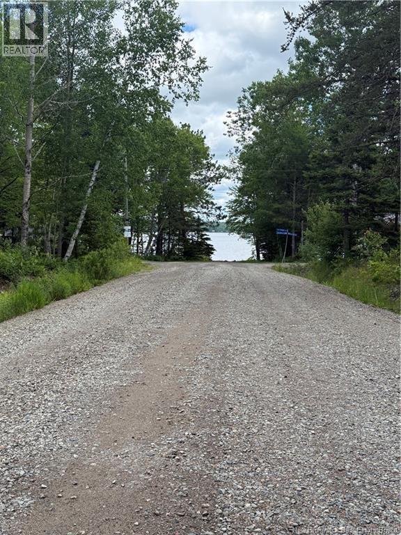 Lot 1 Mcmurray Road, Lake George, New Brunswick  E6K 3G8 - Photo 4 - NB142212