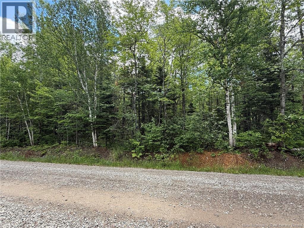 Lot 1 Mcmurray Road, Lake George, New Brunswick  E6K 3G8 - Photo 5 - NB142212