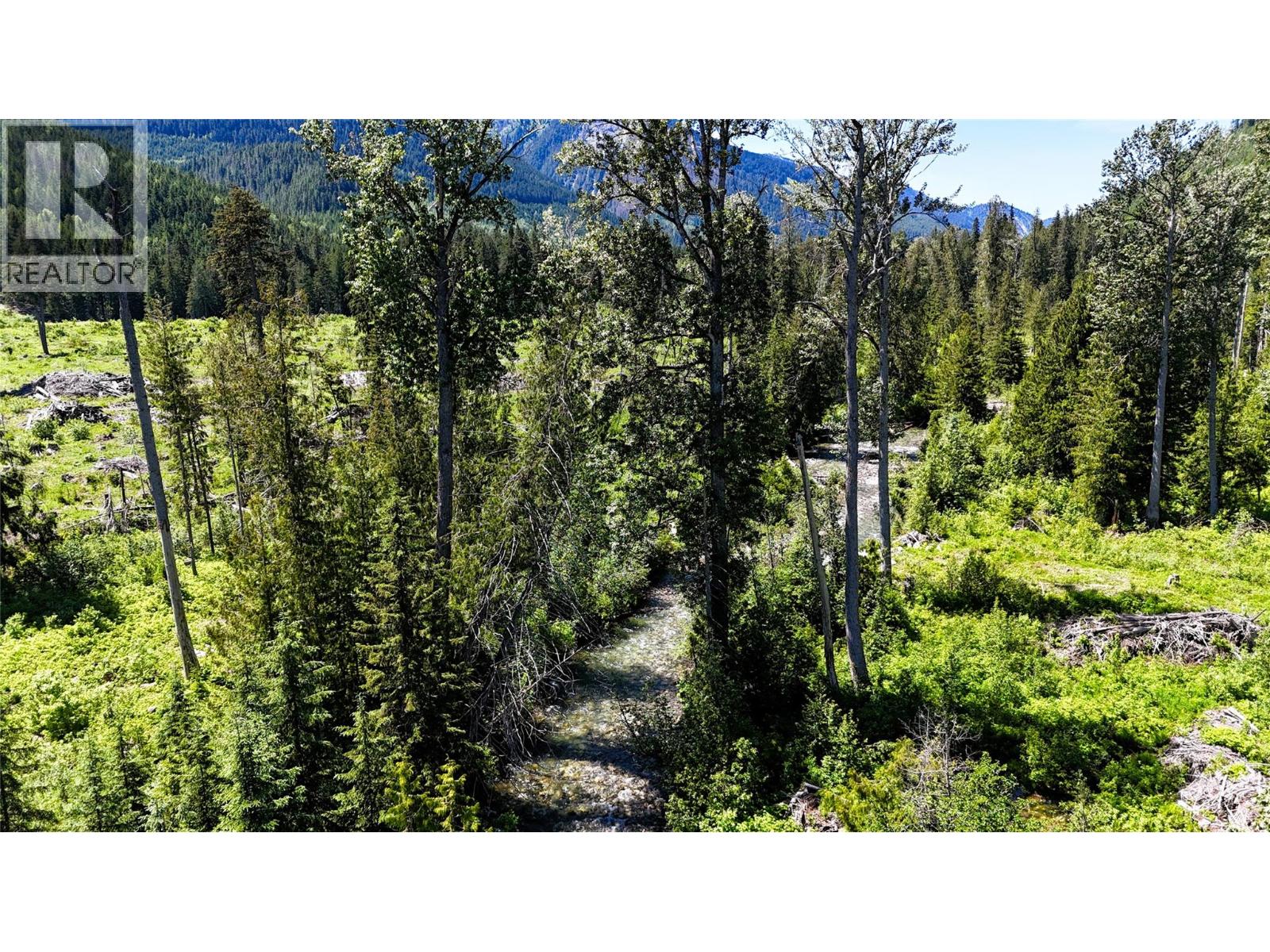 Dl 7950 Hwy 31 Highway Lot# Dl 7950, Trout Lake, British Columbia V0G 1R2 - Photo 18 - 10391784