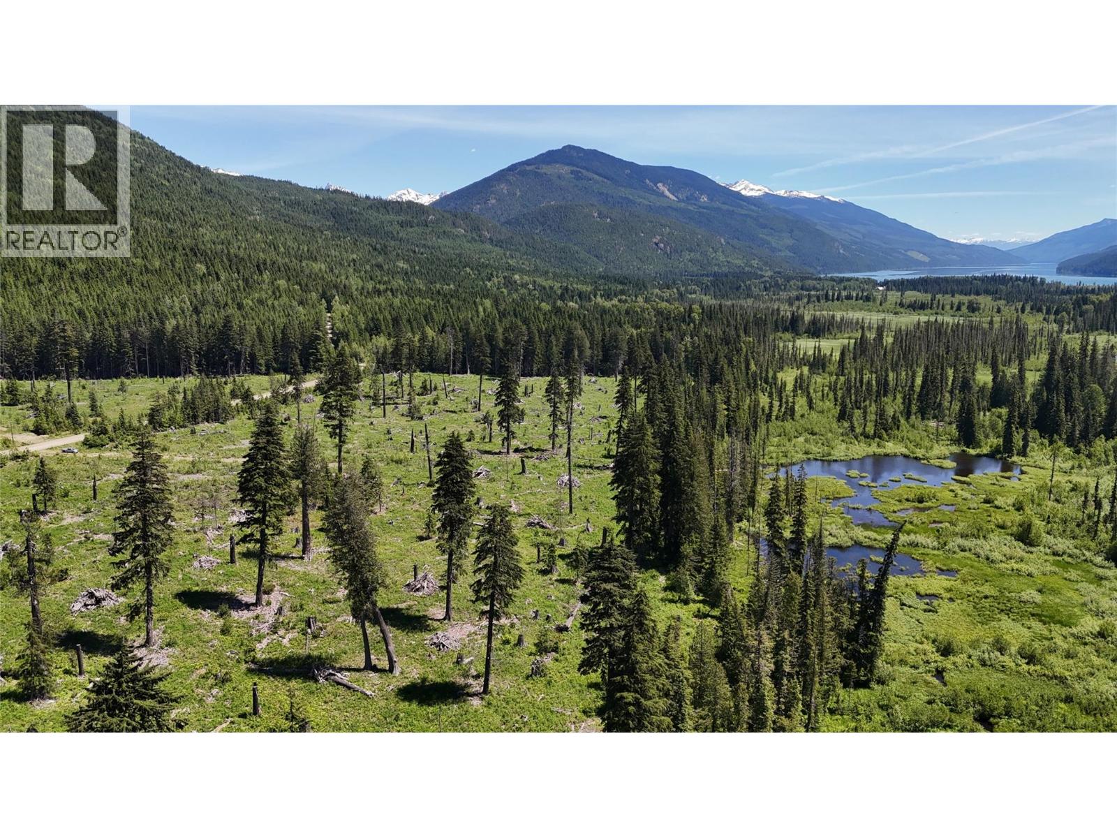 Dl 7950 Hwy 31 Highway Lot# Dl 7950, Trout Lake, British Columbia V0G 1R2 - Photo 9 - 10391784