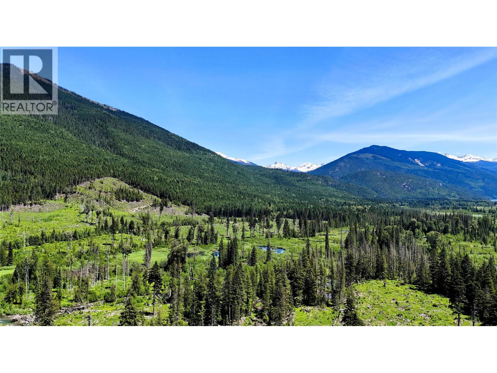Dl 7950 Hwy 31 Highway Lot# Dl 7950, Trout Lake, British Columbia V0G 1R2 - Photo 6 - 10391784