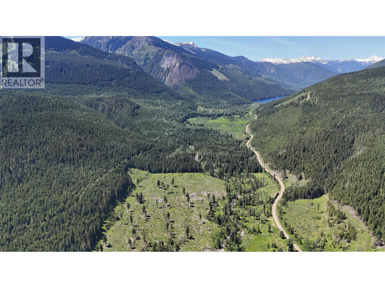 Dl 7950 Hwy 31 Highway Lot# Dl 7950, Trout Lake, British Columbia V0G 1R2 - Photo 11 - 10391784