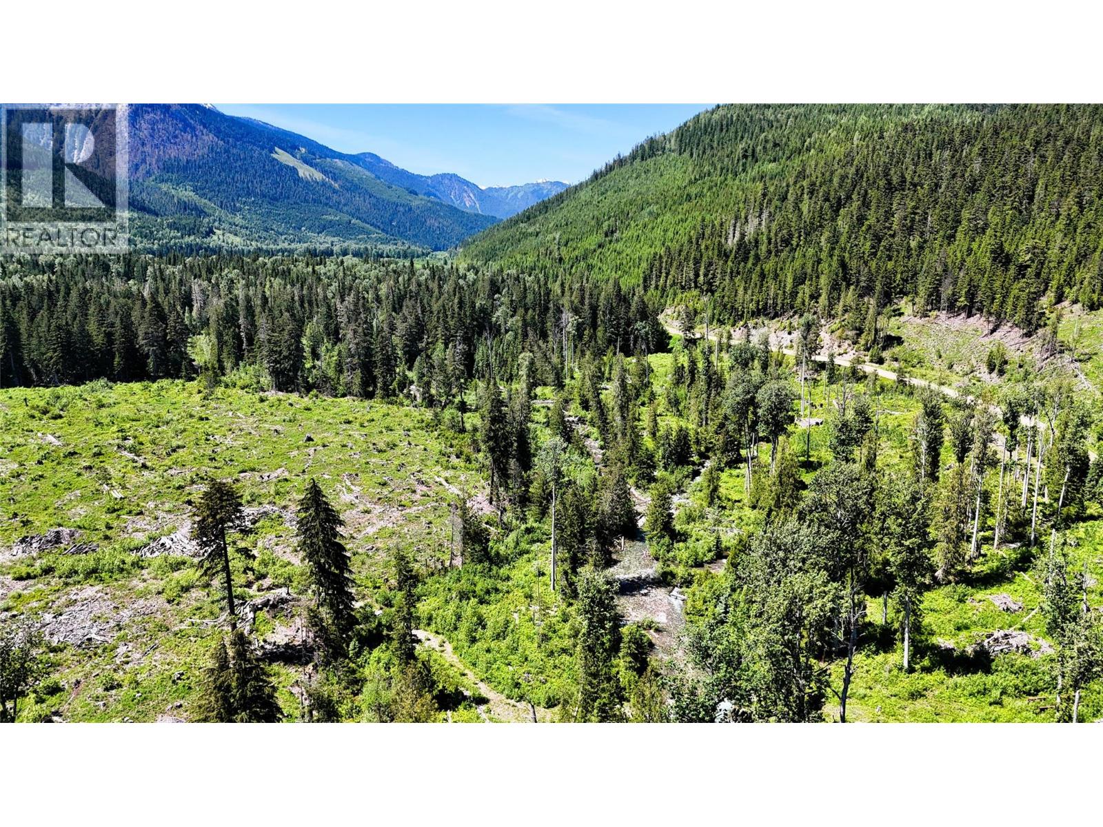 Dl 7950 Hwy 31 Highway Lot# Dl 7950, Trout Lake, British Columbia V0G 1R2 - Photo 14 - 10391784