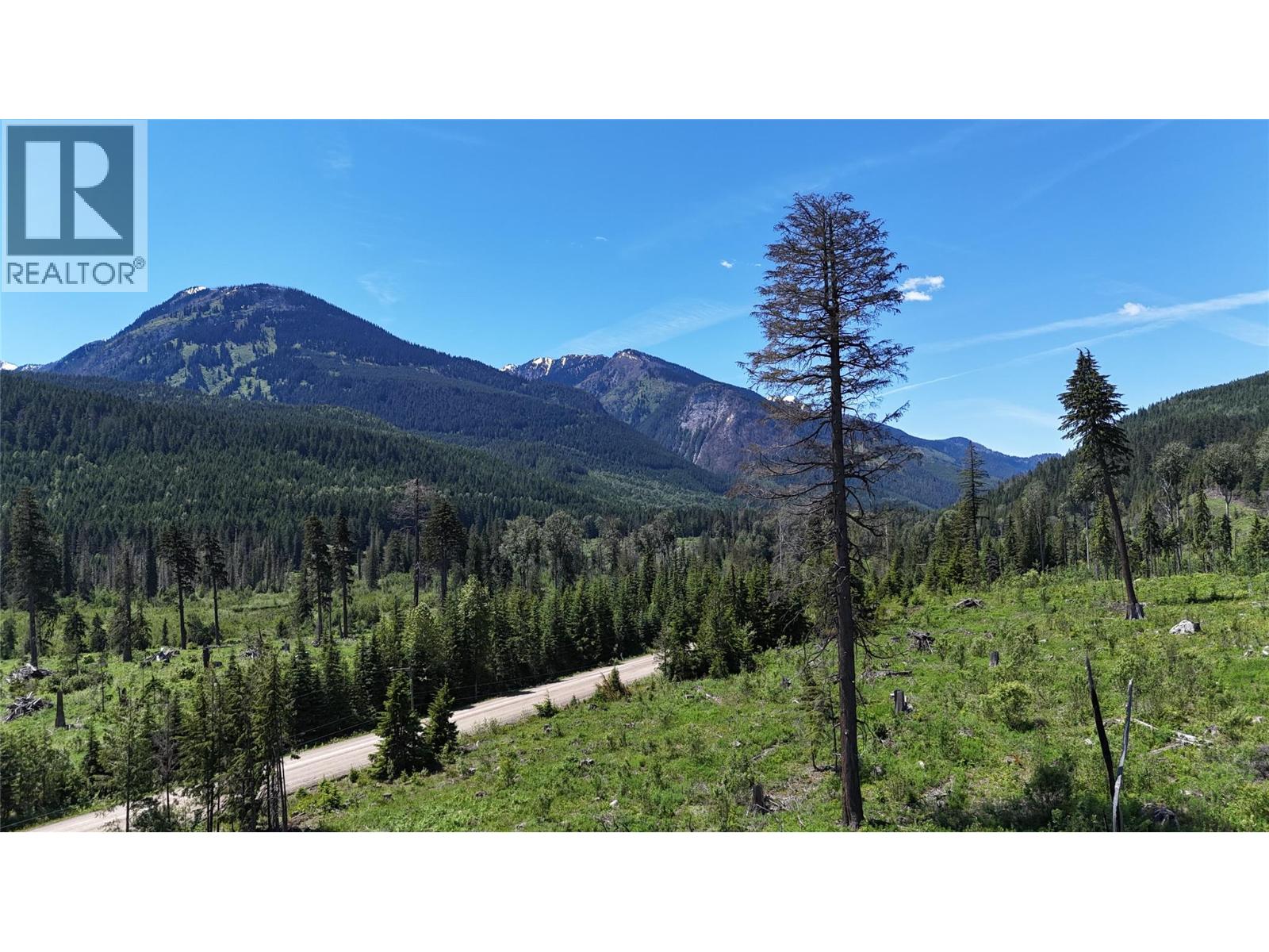 Dl 7950 Hwy 31 Highway Lot# Dl 7950, Trout Lake, British Columbia V0G 1R2 - Photo 15 - 10391784