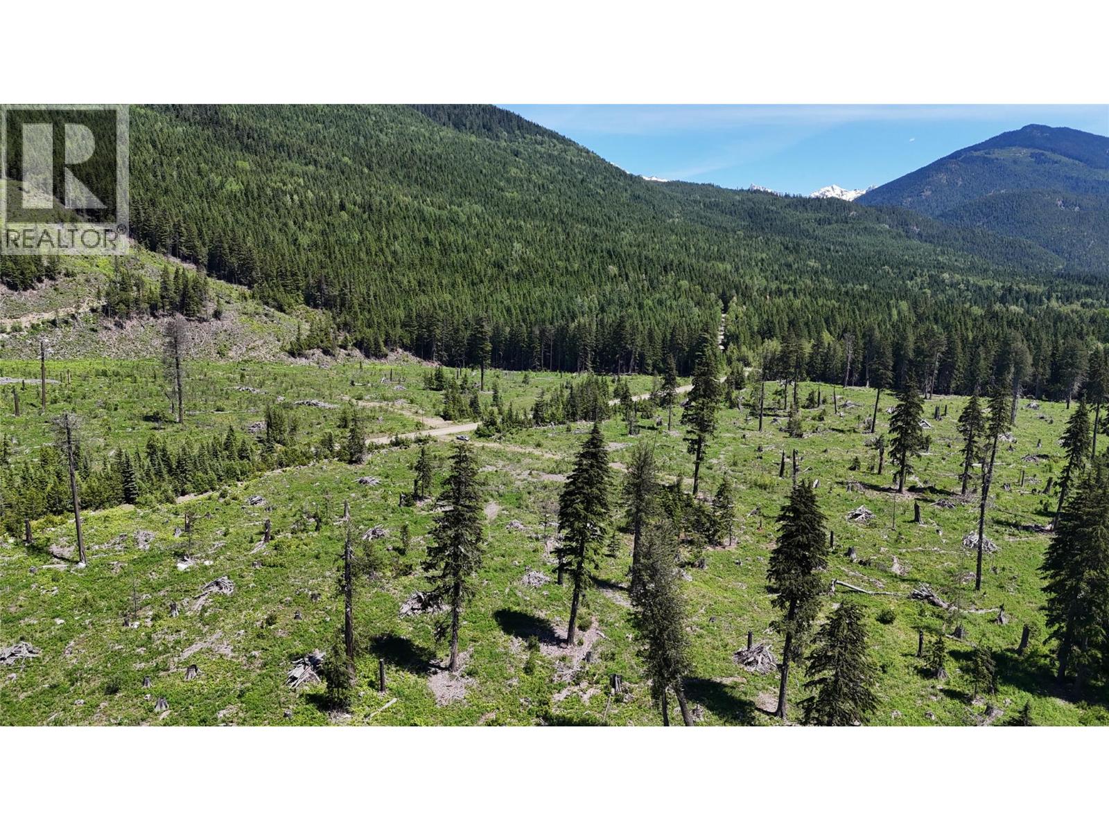 Dl 7950 Hwy 31 Highway Lot# Dl 7950, Trout Lake, British Columbia V0G 1R2 - Photo 19 - 10391784