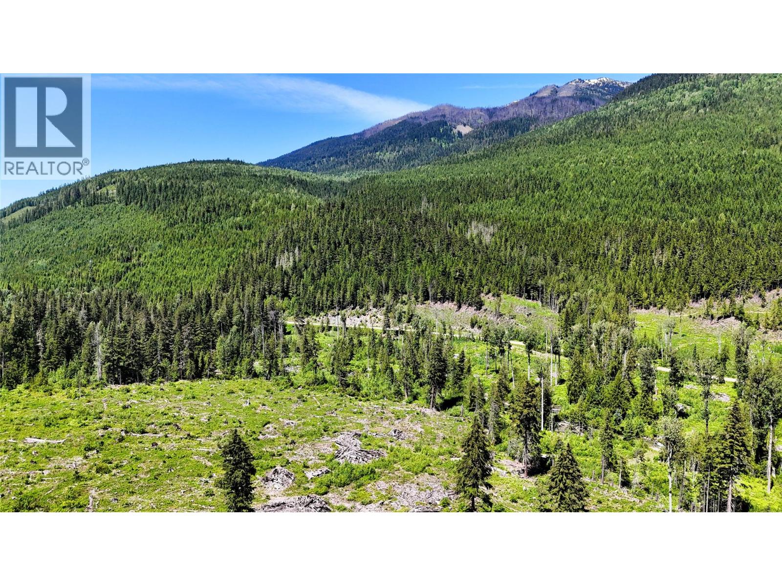Dl 7950 Hwy 31 Highway Lot# Dl 7950, Trout Lake, British Columbia V0G 1R2 - Photo 20 - 10391784