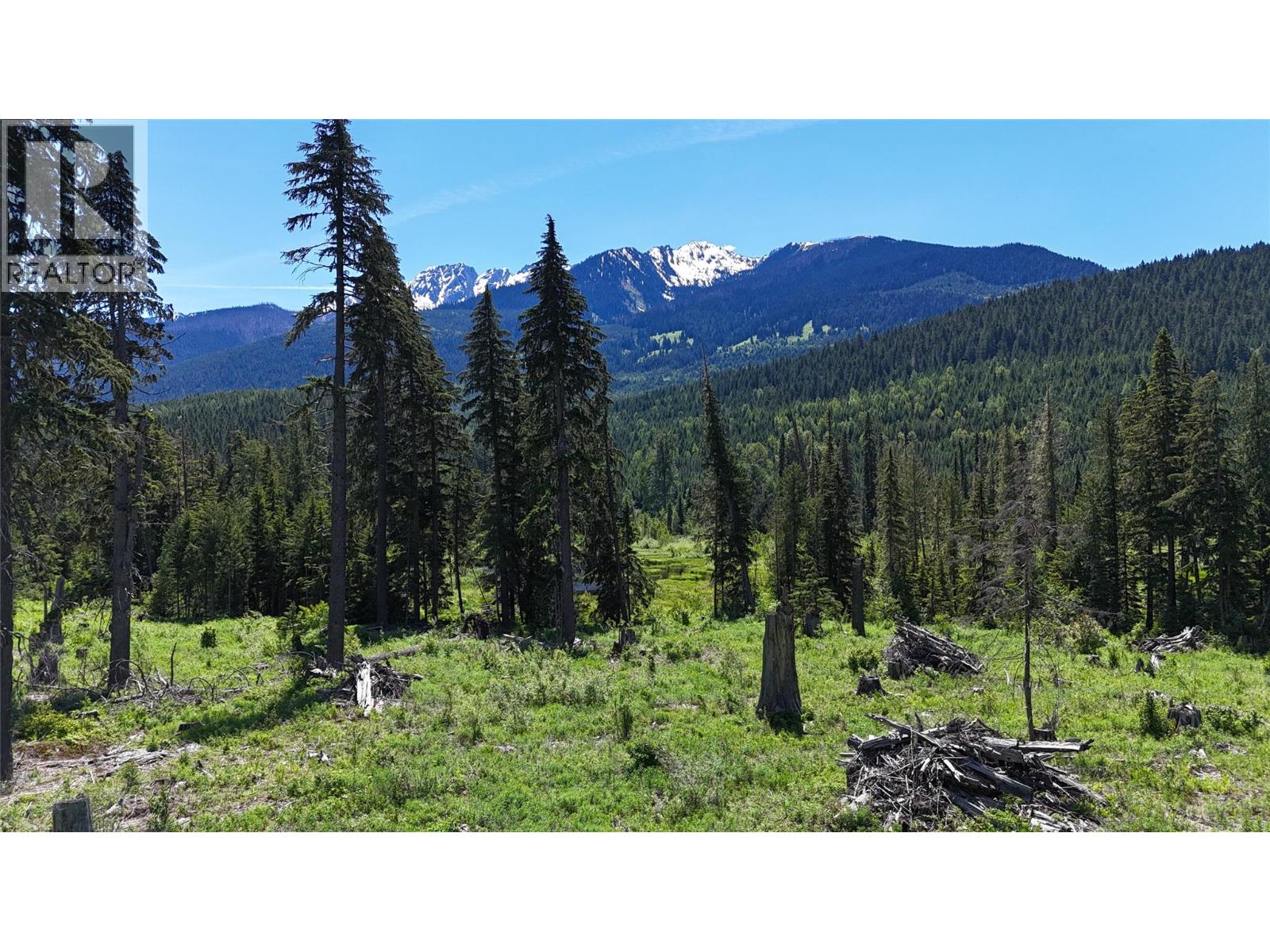 Dl 7950 Hwy 31 Highway Lot# Dl 7950, Trout Lake, British Columbia V0G 1R2 - Photo 27 - 10391784