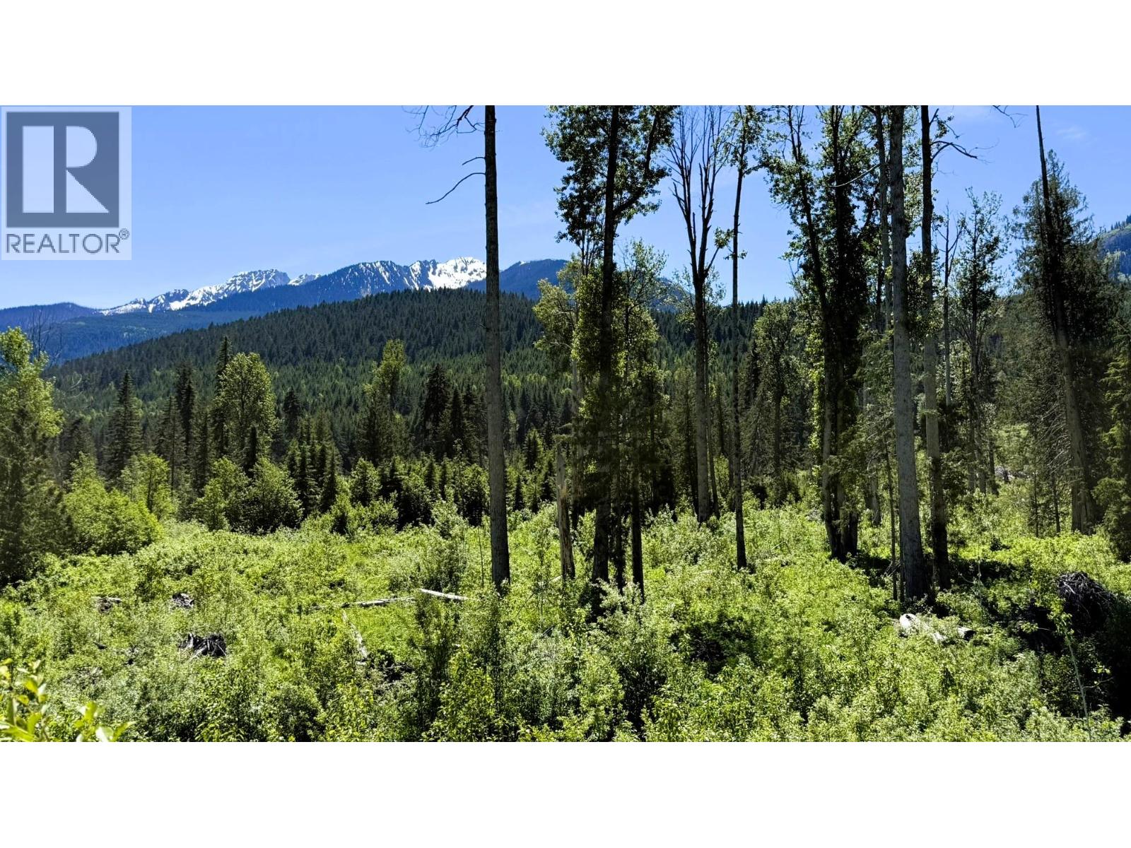 Dl 7950 Hwy 31 Highway Lot# Dl 7950, Trout Lake, British Columbia V0G 1R2 - Photo 29 - 10391784