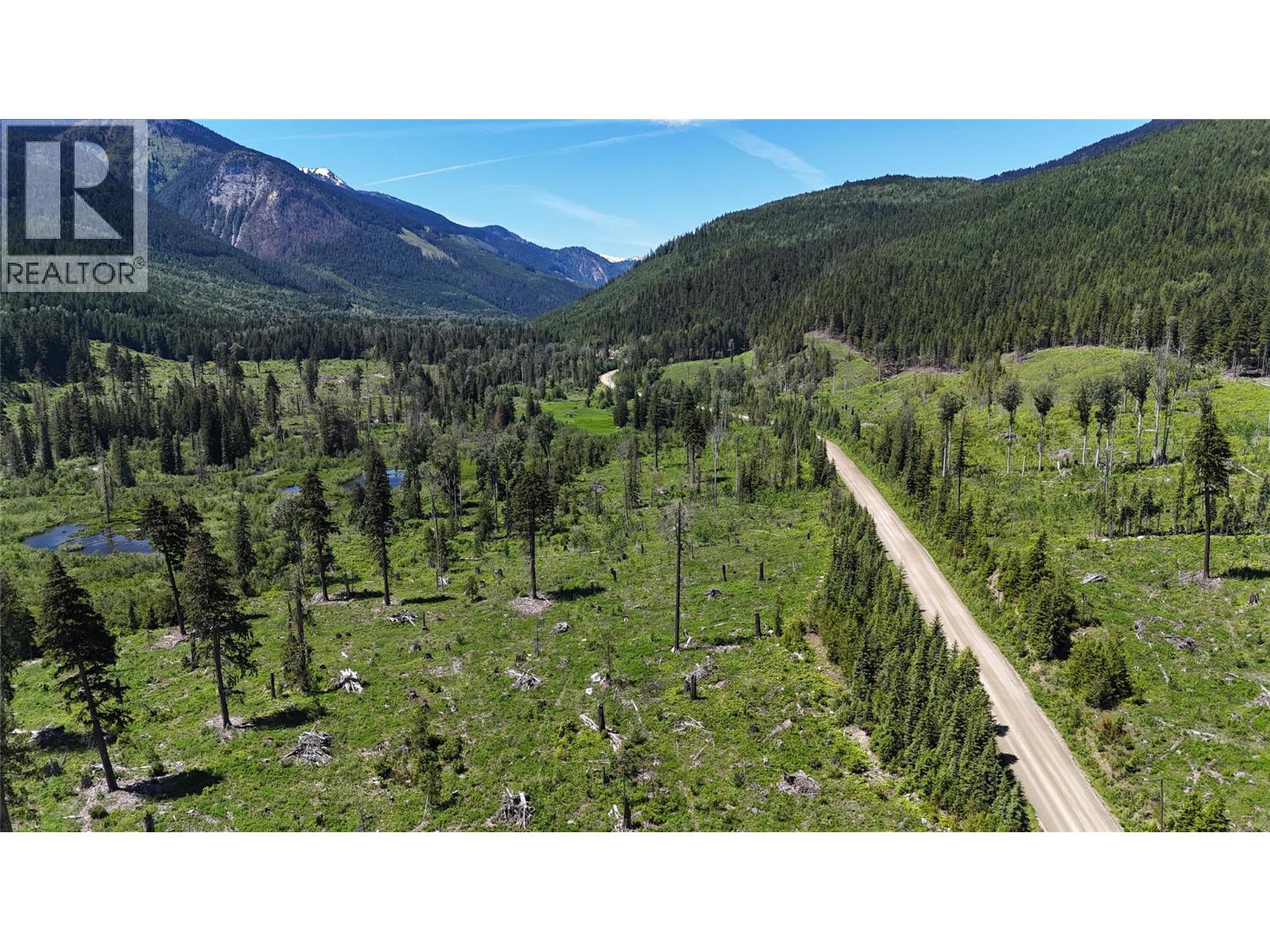 Dl 7950 Hwy 31 Highway Lot# Dl 7950, Trout Lake, British Columbia V0G 1R2 - Photo 12 - 10391784