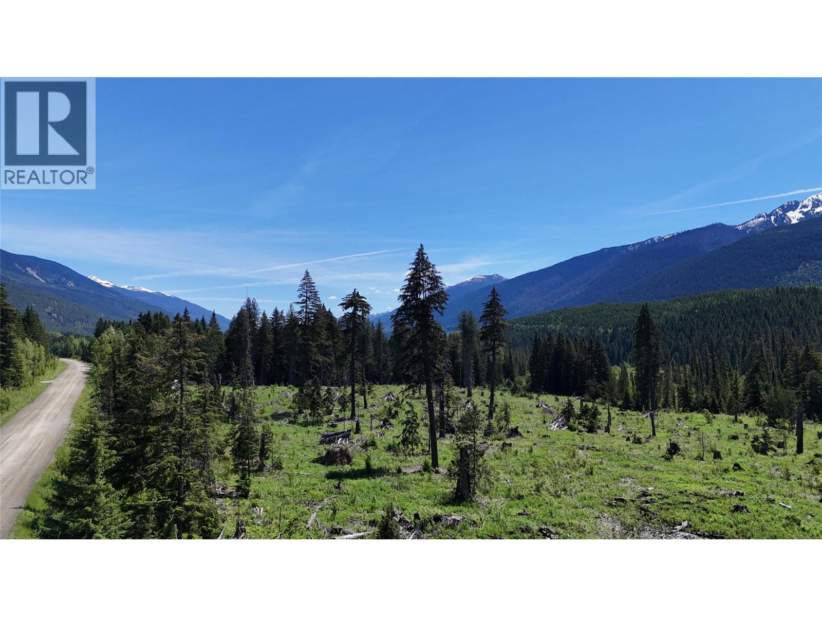 Dl 7950 Hwy 31 Highway Lot# Dl 7950, Trout Lake, British Columbia V0G 1R2 - Photo 16 - 10391784