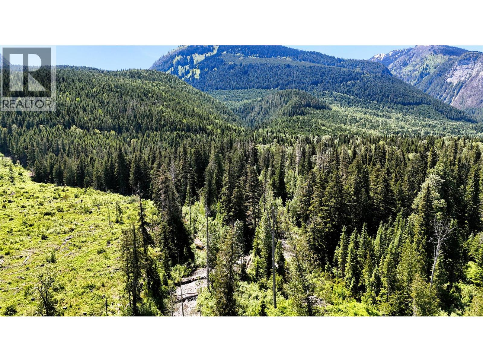 Dl 7950 Hwy 31 Highway Lot# Dl 7950, Trout Lake, British Columbia V0G 1R2 - Photo 17 - 10391784