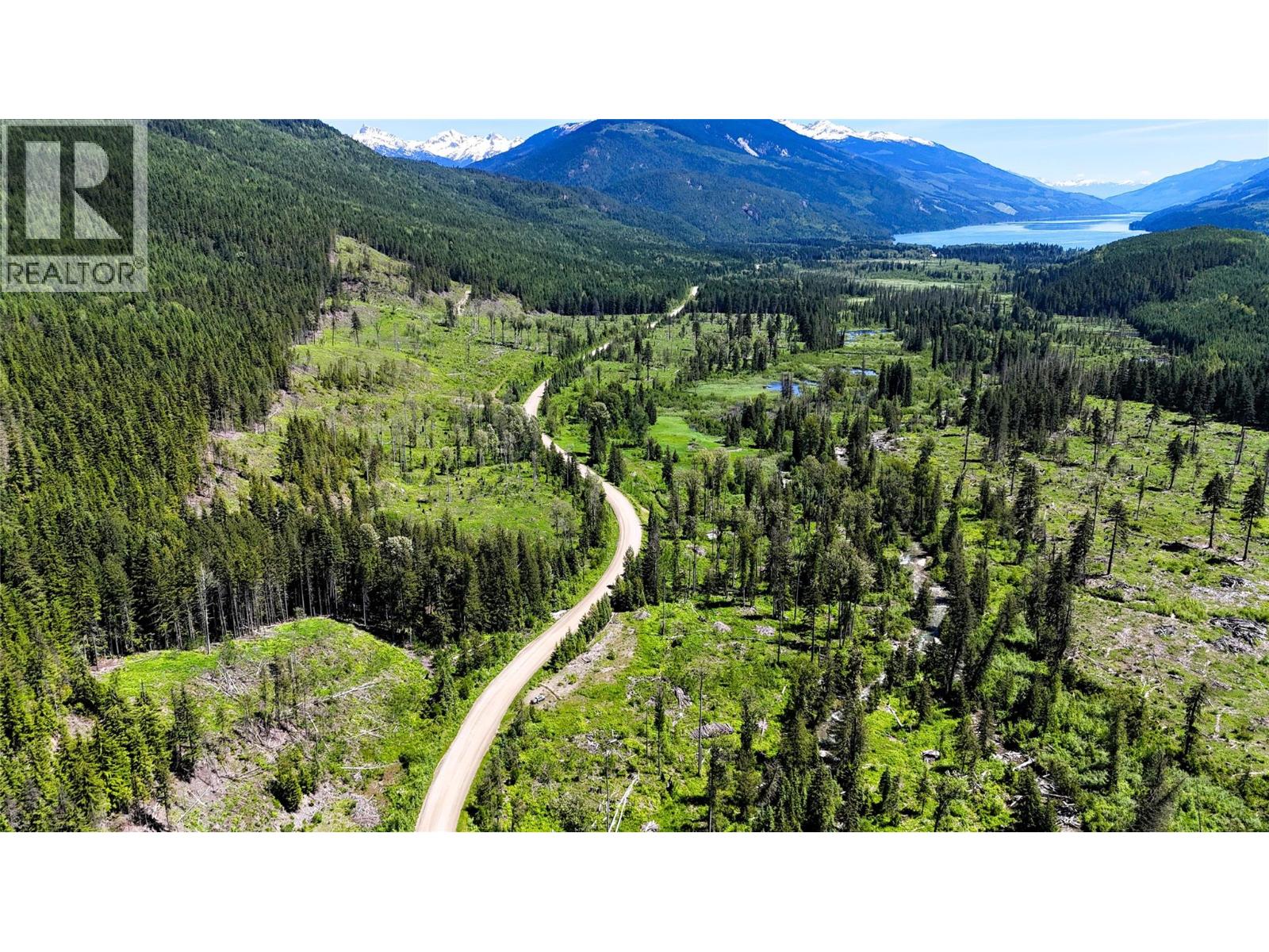 Dl 7950 Hwy 31 Highway Lot# Dl 7950, Trout Lake, British Columbia V0G 1R2 - Photo 2 - 10391784