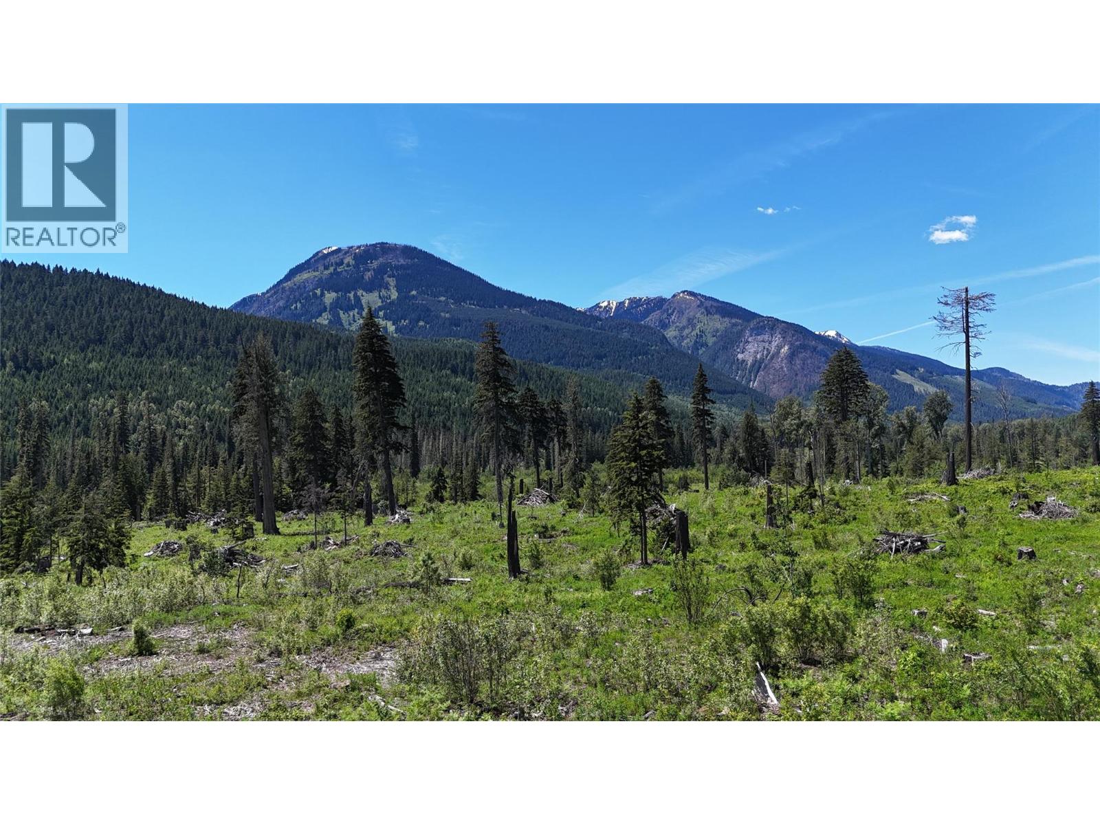 Dl 7950 Hwy 31 Highway Lot# Dl 7950, Trout Lake, British Columbia V0G 1R2 - Photo 22 - 10391784