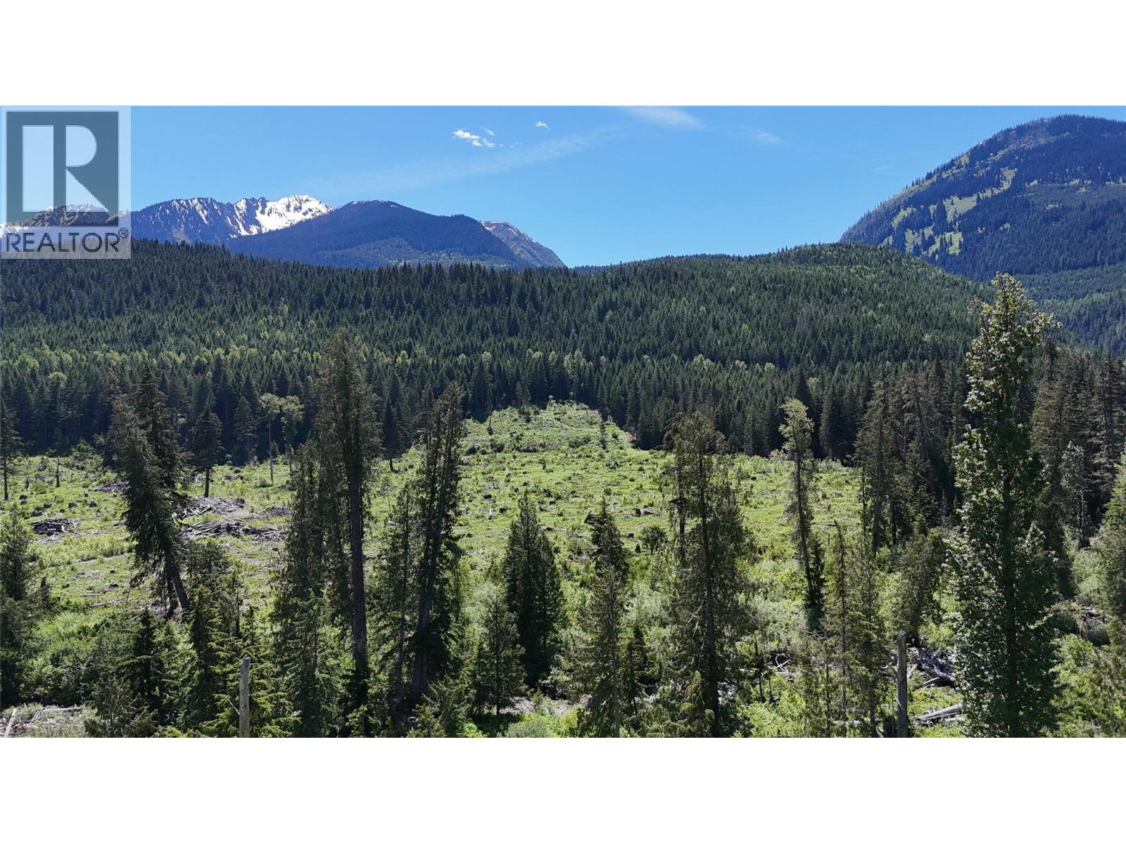 Dl 7950 Hwy 31 Highway Lot# Dl 7950, Trout Lake, British Columbia V0G 1R2 - Photo 23 - 10391784