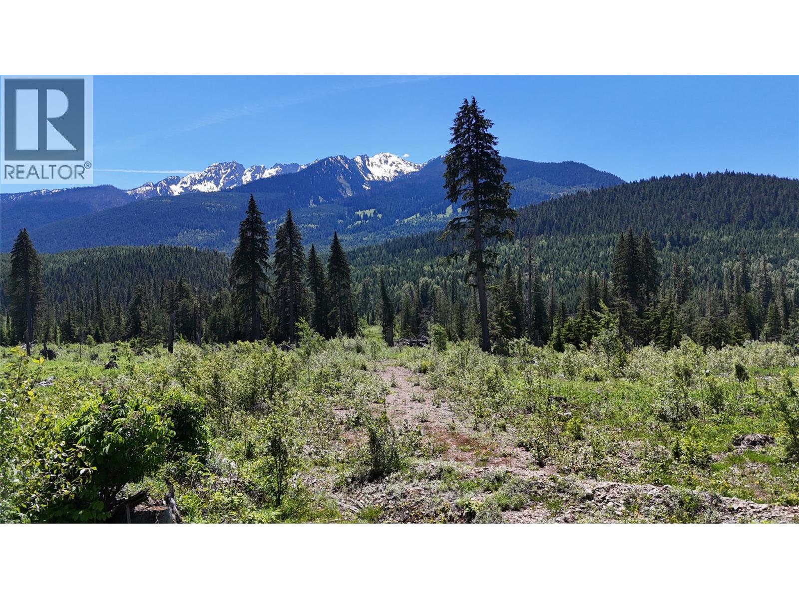 Dl 7950 Hwy 31 Highway Lot# Dl 7950, Trout Lake, British Columbia V0G 1R2 - Photo 24 - 10391784