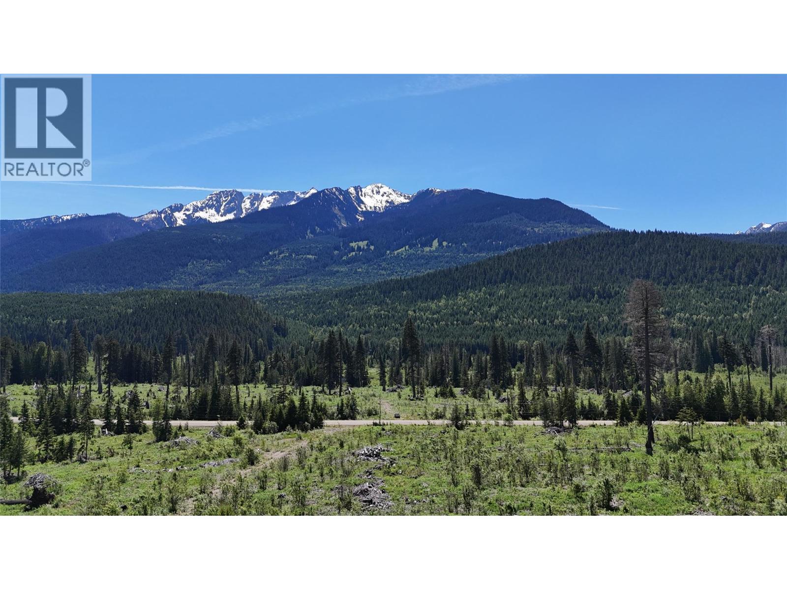 Dl 7950 Hwy 31 Highway Lot# Dl 7950, Trout Lake, British Columbia V0G 1R2 - Photo 25 - 10391784