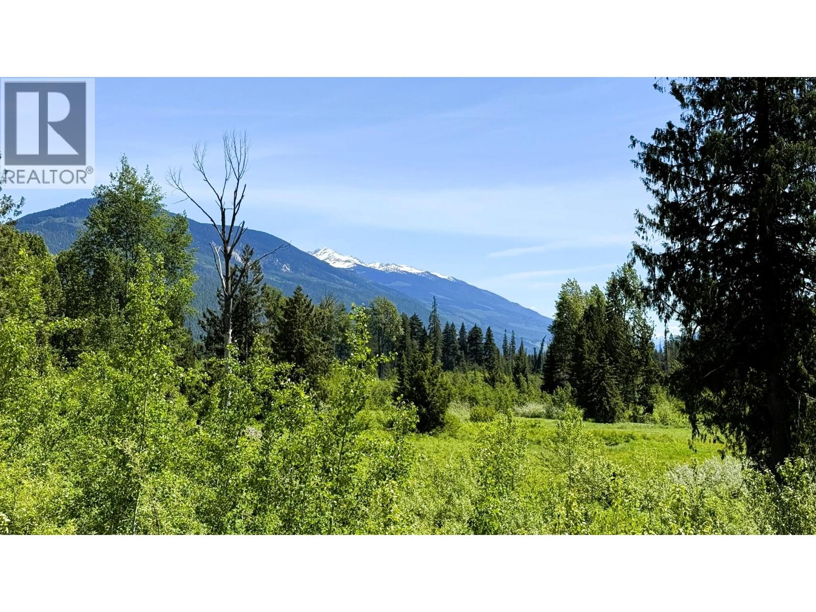 Dl 7950 Hwy 31 Highway Lot# Dl 7950, Trout Lake, British Columbia V0G 1R2 - Photo 31 - 10391784