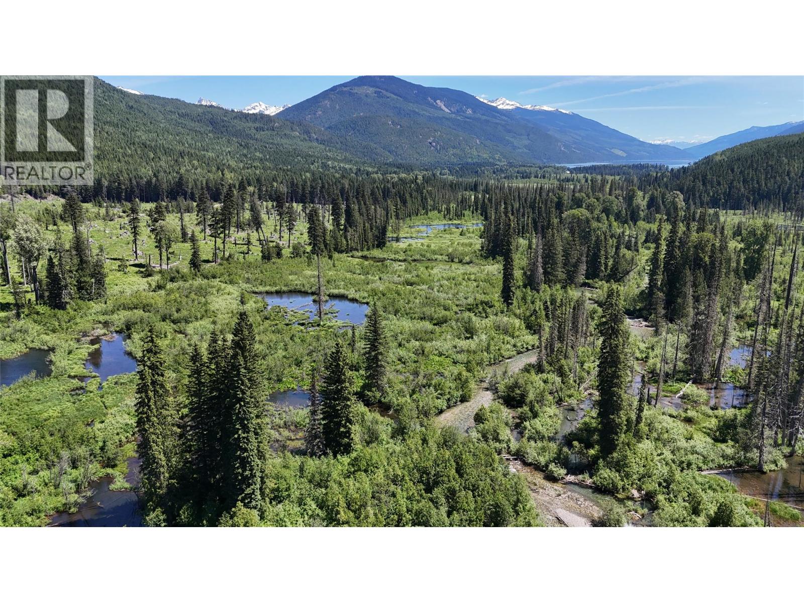 Dl 7950 Hwy 31 Highway Lot# Dl 7950, Trout Lake, British Columbia V0G 1R2 - Photo 8 - 10391784